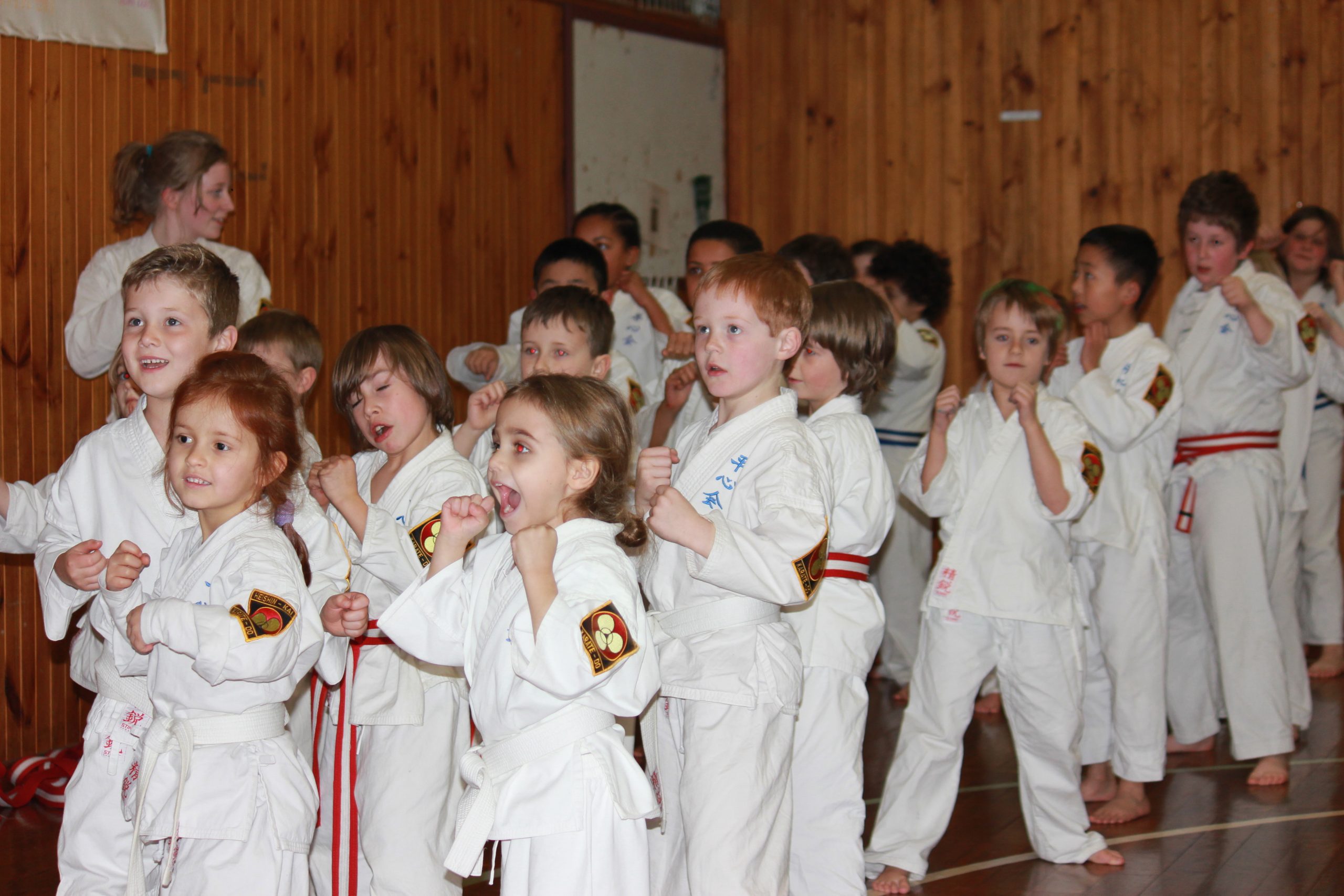 Children's Karate Class